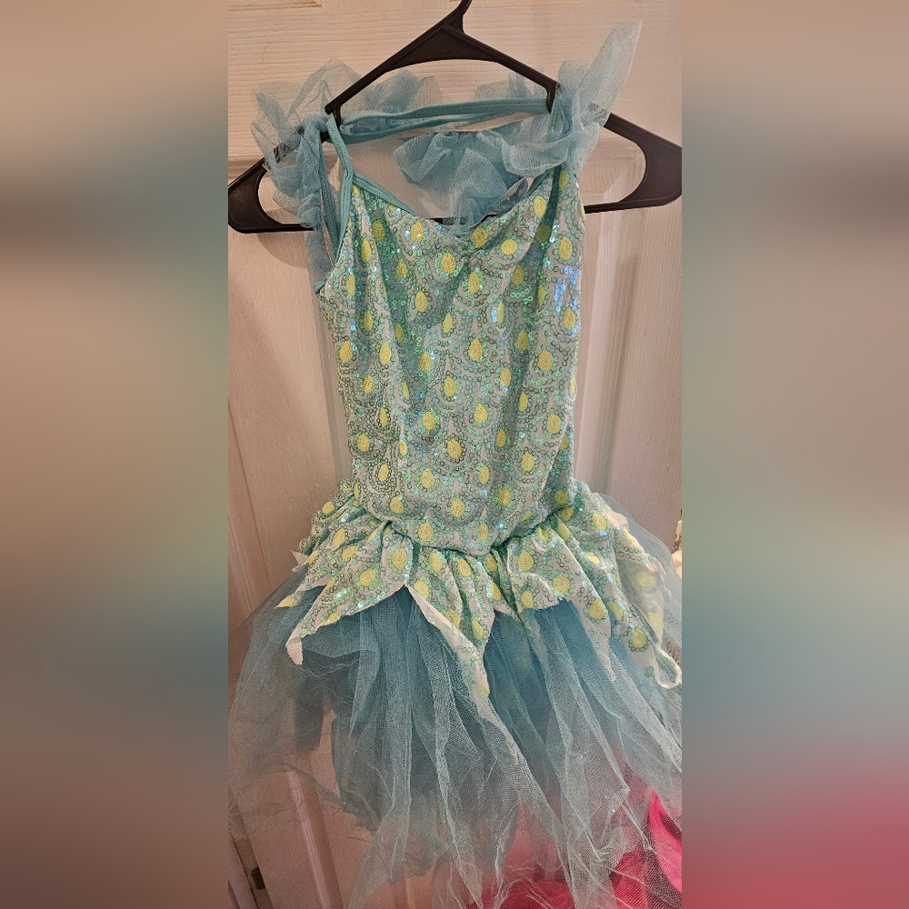 Weissman Dance Costume